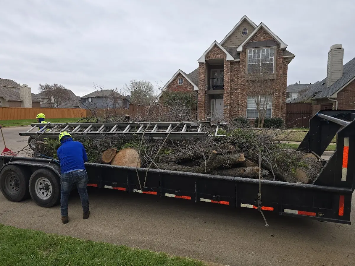 Expert Lot Clearing with proper safety equipment in Shell Knob